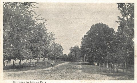 Entrance to Alcyon Park - Pitman Postcard