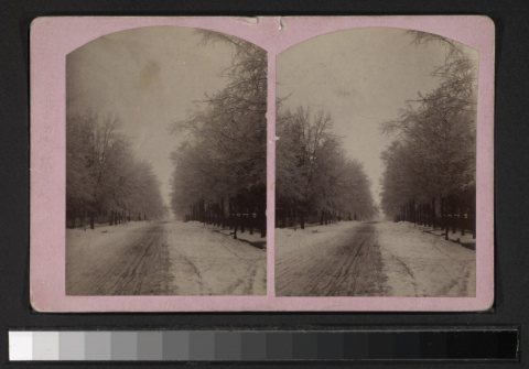 Trinity Street, Newton, N.J