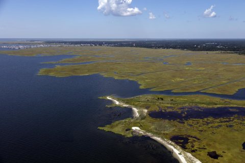 Marshlands on the New Jersey Shore near Tuckerton, New Jersey