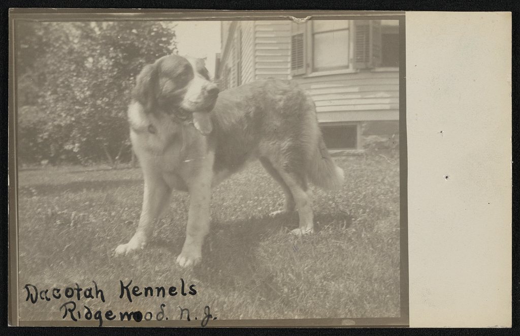 Dacotah Kennels