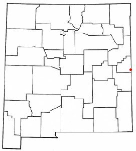 NMMap-doton-Texico