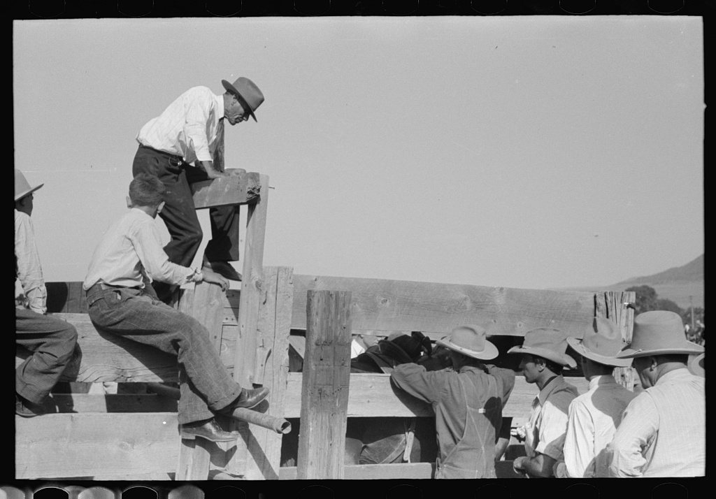 Spectators at Bean Day rodeo