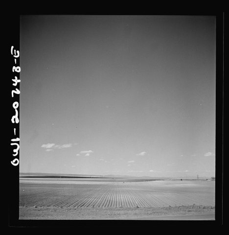 Mountainair, New Mexico. A cultivated field along the Atchison, Topeka and Santa Fe Railroad between Vaughn and Belen, …