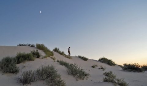 Flickr - ggallice - White Sands (1)