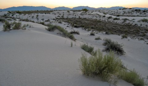 Flickr - ggallice - White Sands (3)