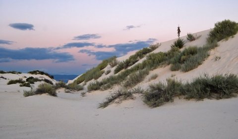 Flickr - ggallice - White Sands (2)