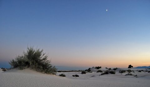 Flickr - ggallice - White Sands