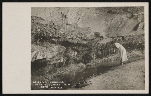 Dripping springs near Tucumcari, N.M