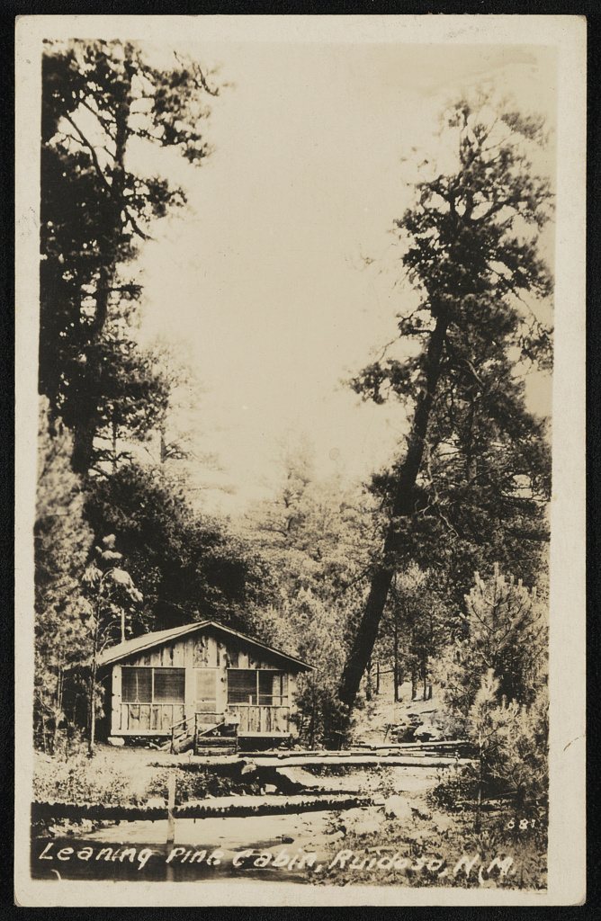 Leaning Pine Cabin