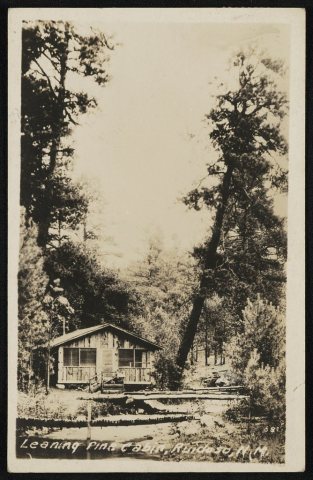 Leaning Pine Cabin