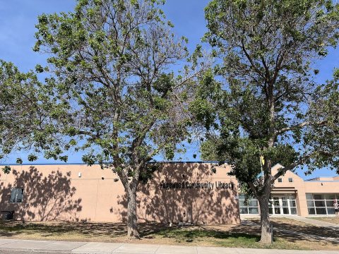 Edgewood Library Aug 2026