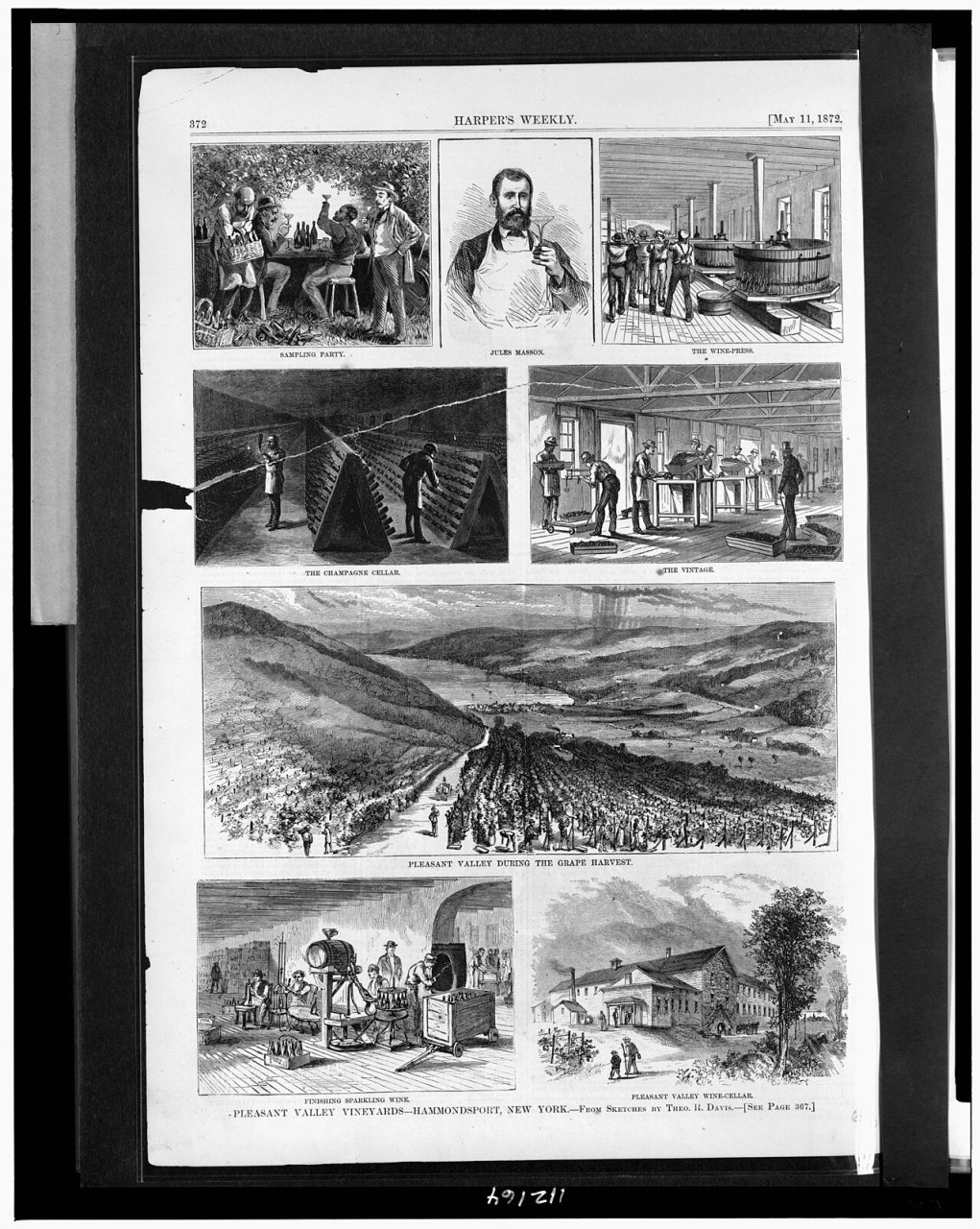Pleasant Valley Vineyards-Hammondsport, New York - from sketches by Theo. R. Davis