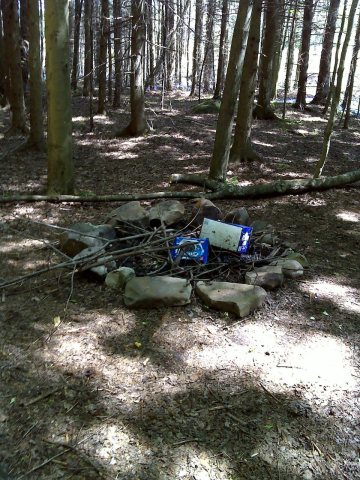 FLT M09 2.71 mi - Bivouac area in woods at west side of pond dam