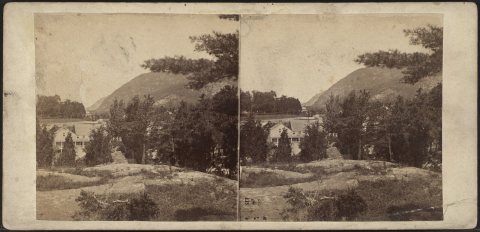 [View in] ... Cold Springs