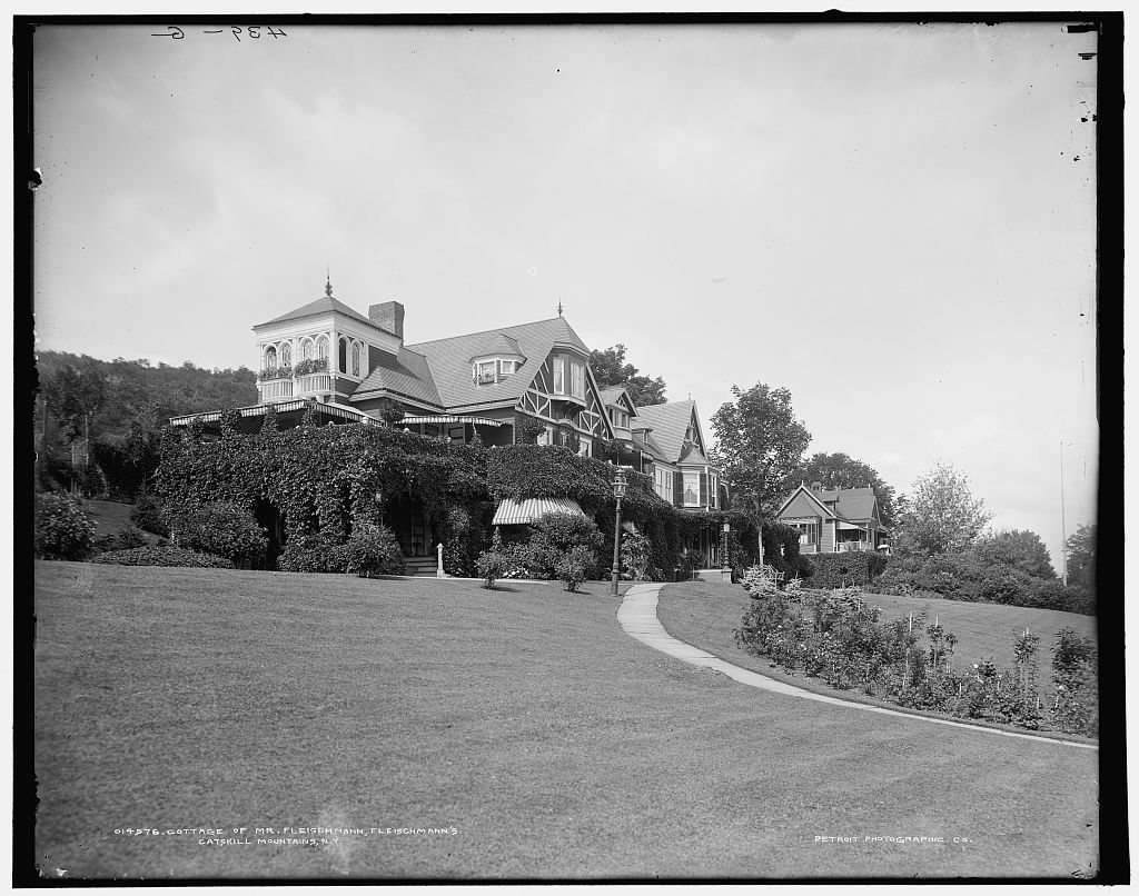 Cottage of Mr. Fleischmann, Fleischmann's, Catskill Mountains, N.Y