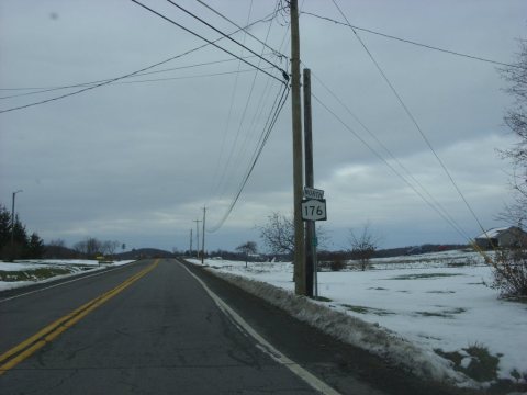 Untitled photo