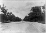 Larchmont Ave., N.Y
