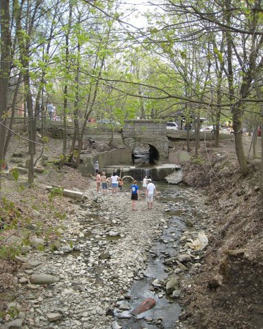 Kanakadea Creek in