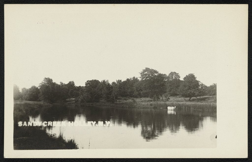 Sandy Creek