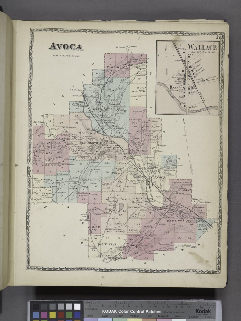 Avoca (Township); Wallace (Village)