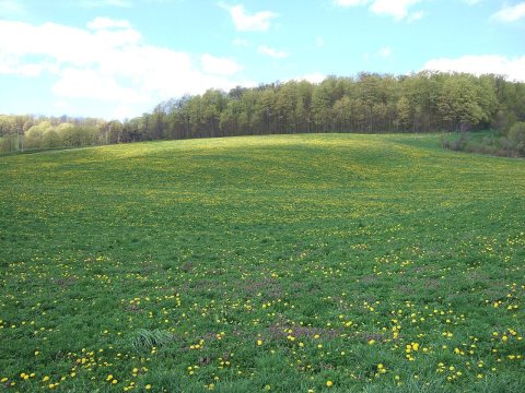 East
