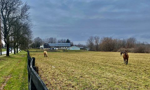 Equine scene, Hy Wynne Farm