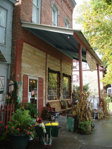 Angelica Gallery