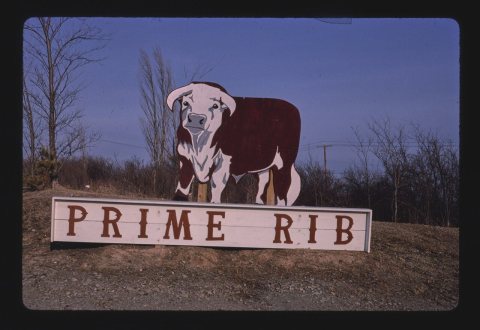 Bull sign