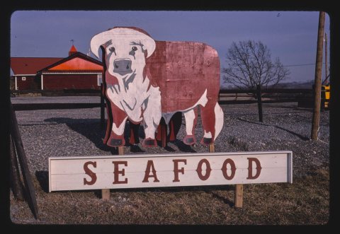 Bull sign, seafood