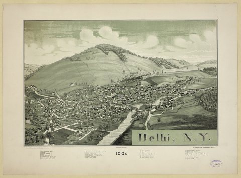 Delhi, N.Y
