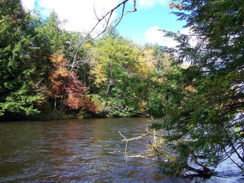 Fall on the salmon river