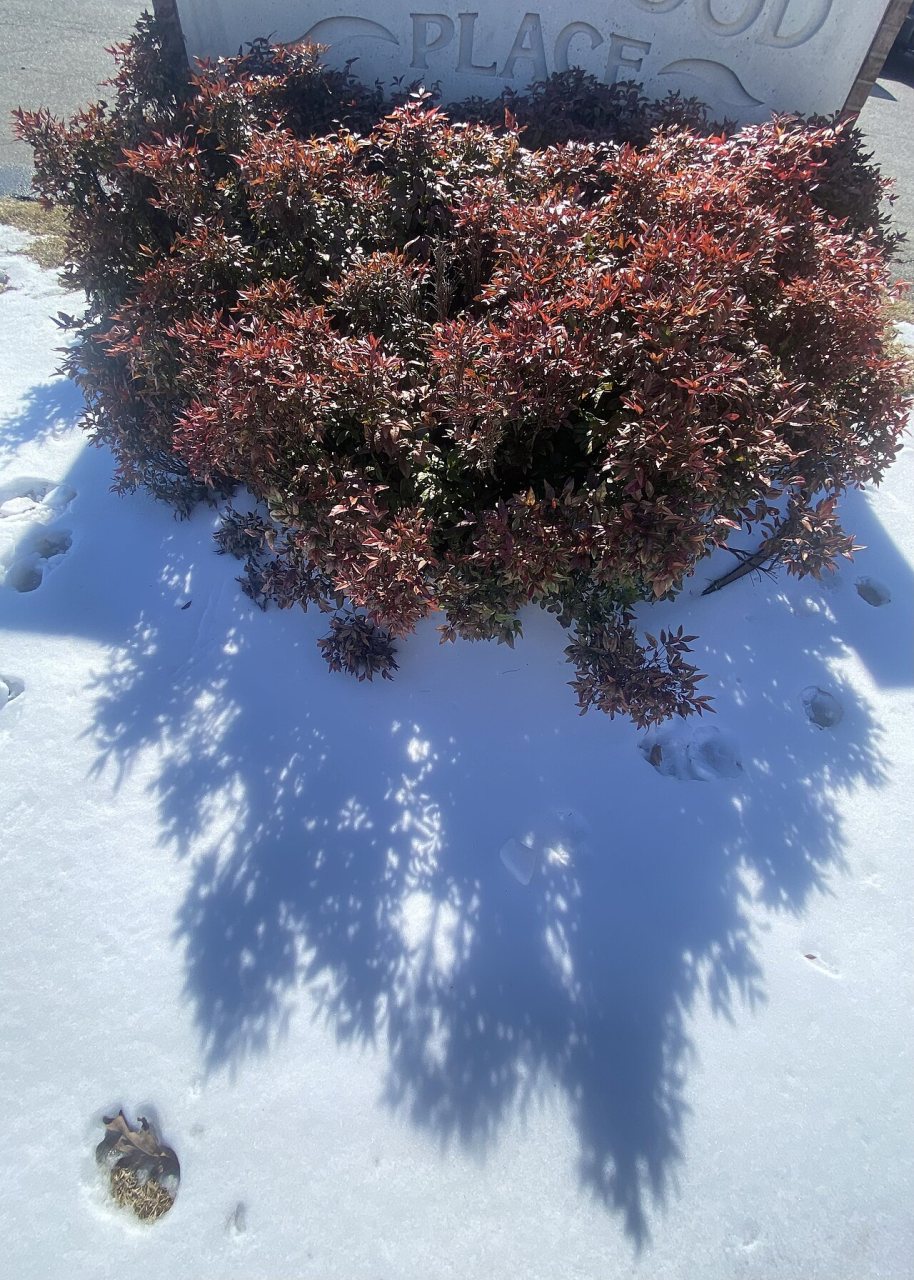 Cabot Arkansa USA... snow, bright sun, and clear clouds