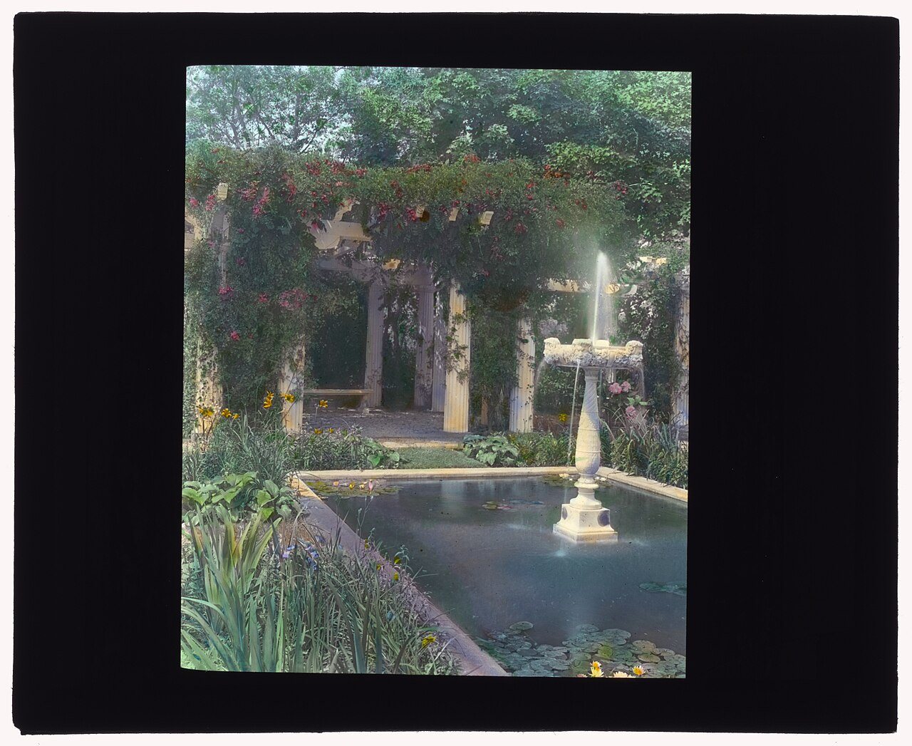 Samuel Knopf house, Lawrence, New York. Fountain