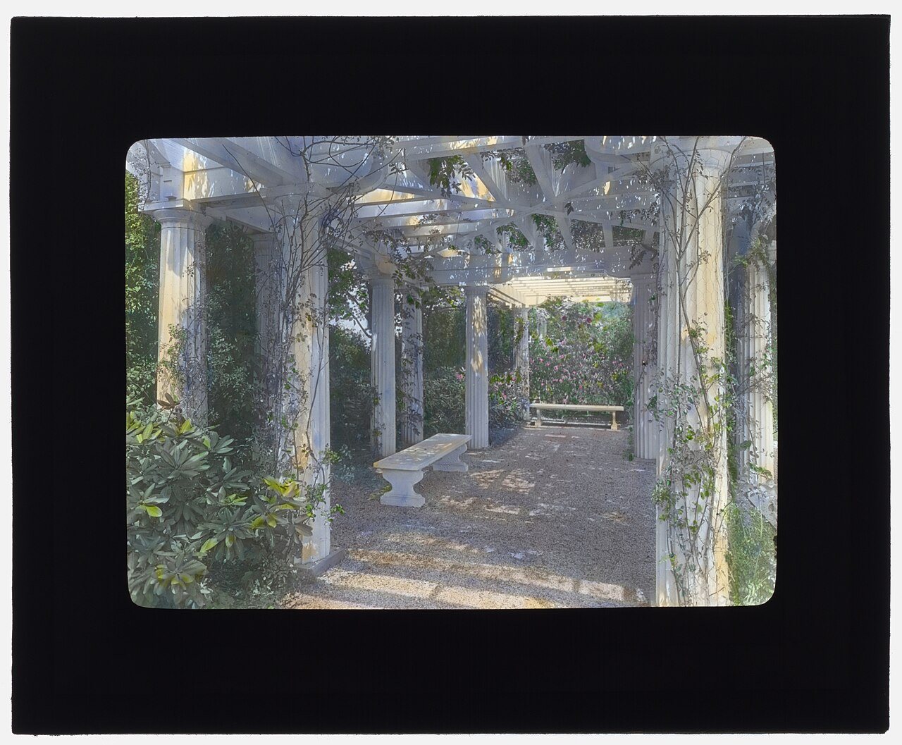 Samuel Knopf house, Lawrence, New York Pergola