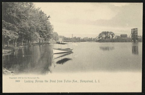 Looking across the pond from Fulton Ave