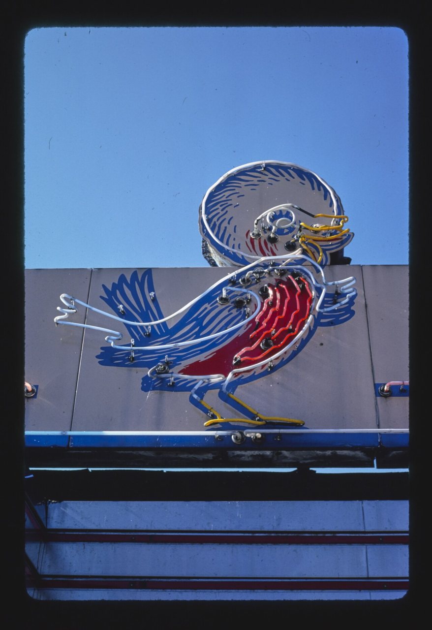 Red Robin Diner sign, Johnson City, New York