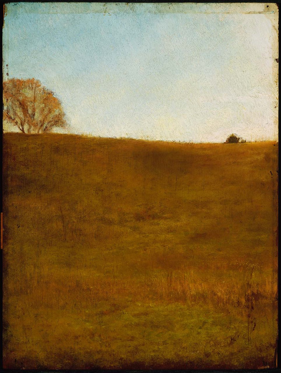 John La Farge - Autumn, October. Hillside, Noonday, Glen Cove, Long Island - 35.1166 - Museum of Fine Arts