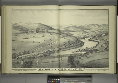 Binghampton, New York State Inebriate Asylum, New York