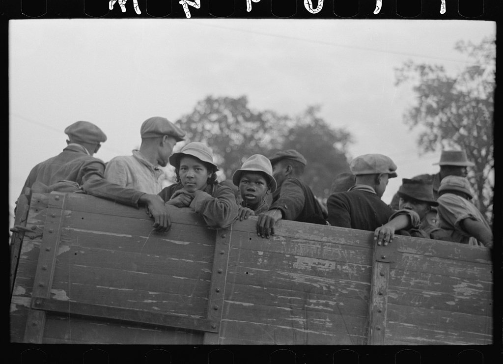 Cotton pickers in truck