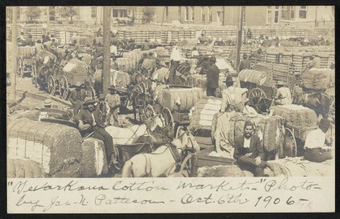 Texarkana cotton market