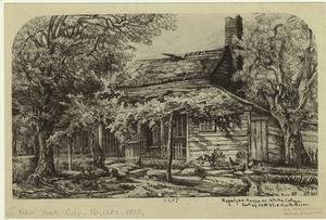 Rapelyea House or White Cottage New York City 1870
