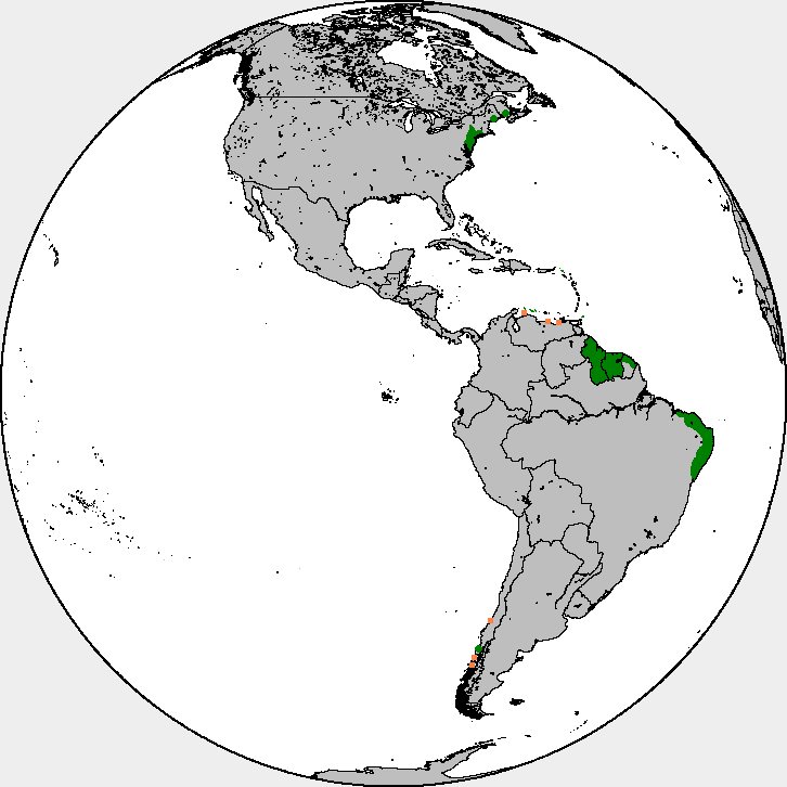 Dutch in the Americas