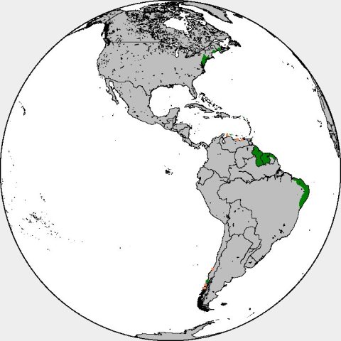 Dutch in the Americas