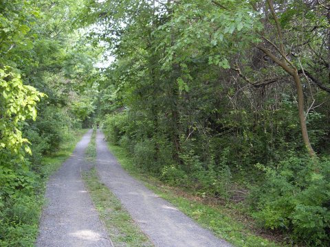 Vicinity-of-wards-point-site