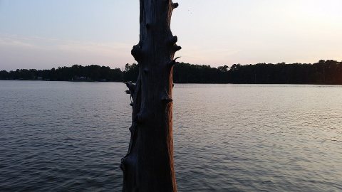 Pamlico River in
