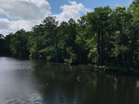 Pollocksville, North Carolina 04