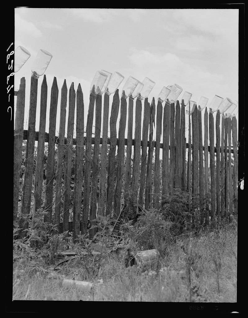 Fruit jars being sterilized on old lady Graham's back fence in berry season. Near Conway, Arkansas. "We just gather and…
