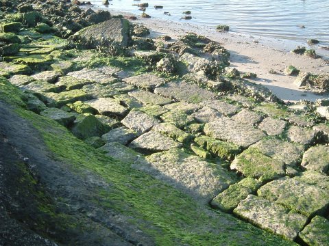 The rocks