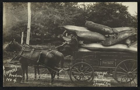Arkansas produce No. 4