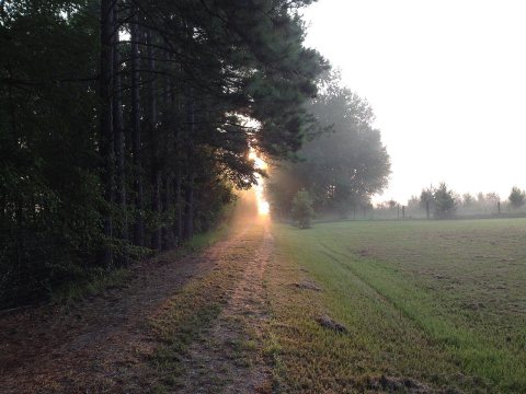 Rennert Sunrise